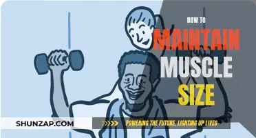 Maintain Muscle Mass: Tips for Keeping Your Physique