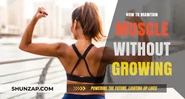 Sustainable Muscle Maintenance: Strategies for Strength Without Bulk