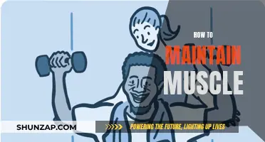 Maintain Muscle Mass: Strategies for Long-Term Success