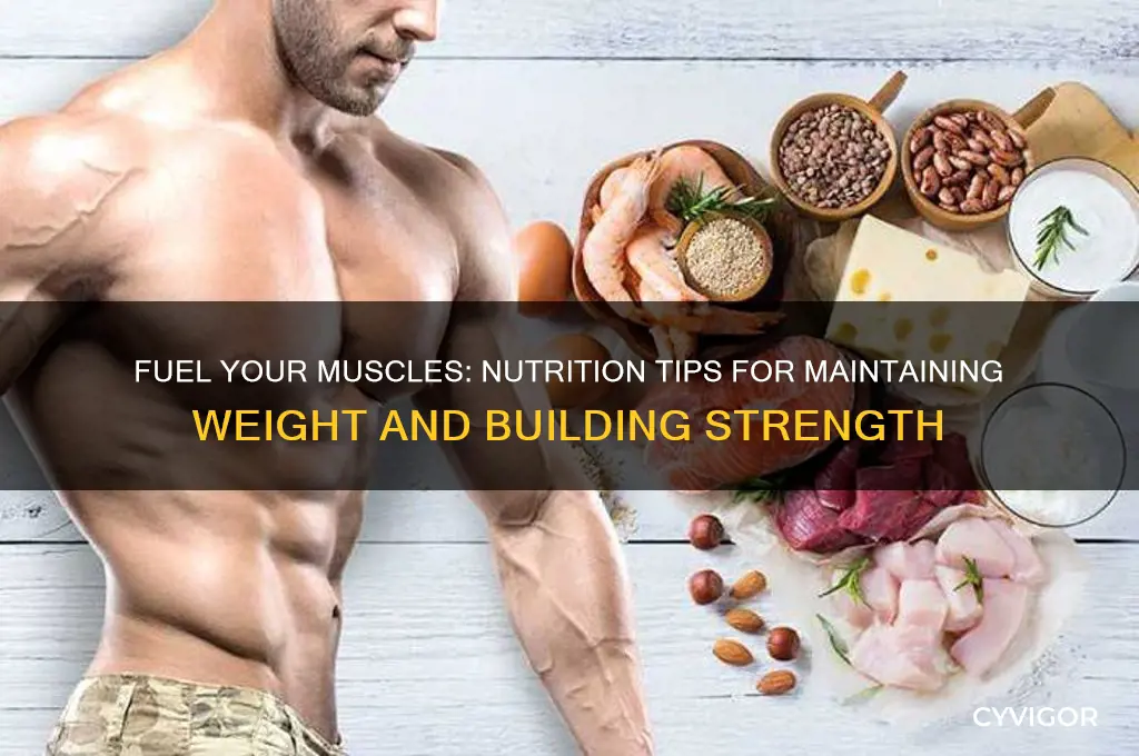 how to maintain weight but gain muscle nutrition