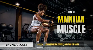 Building Muscle: Maintenance Tips for Long-Term Gains
