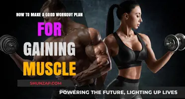 Effective Muscle-Building Workout Plan: Strategies for Strength and Growth