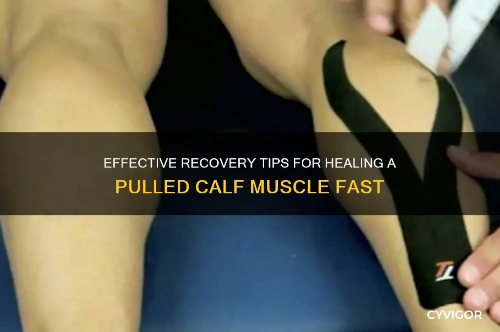how to make a pulled calf muscle better