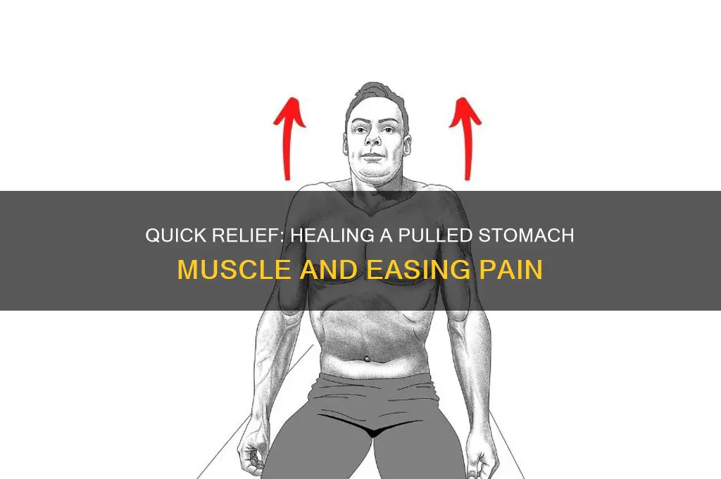 how to make a pulled stomach muscle stop hurting