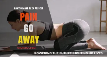 Relieve Back Muscle Pain: Effective Tips and Remedies