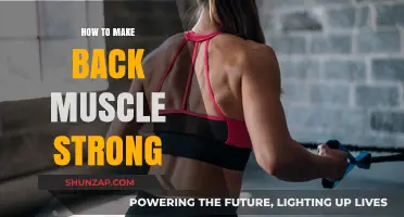 Strengthen Your Back: A Comprehensive Guide to Building Muscle
