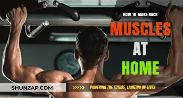Strengthen Your Back: Effective Home Workouts for Muscle Building