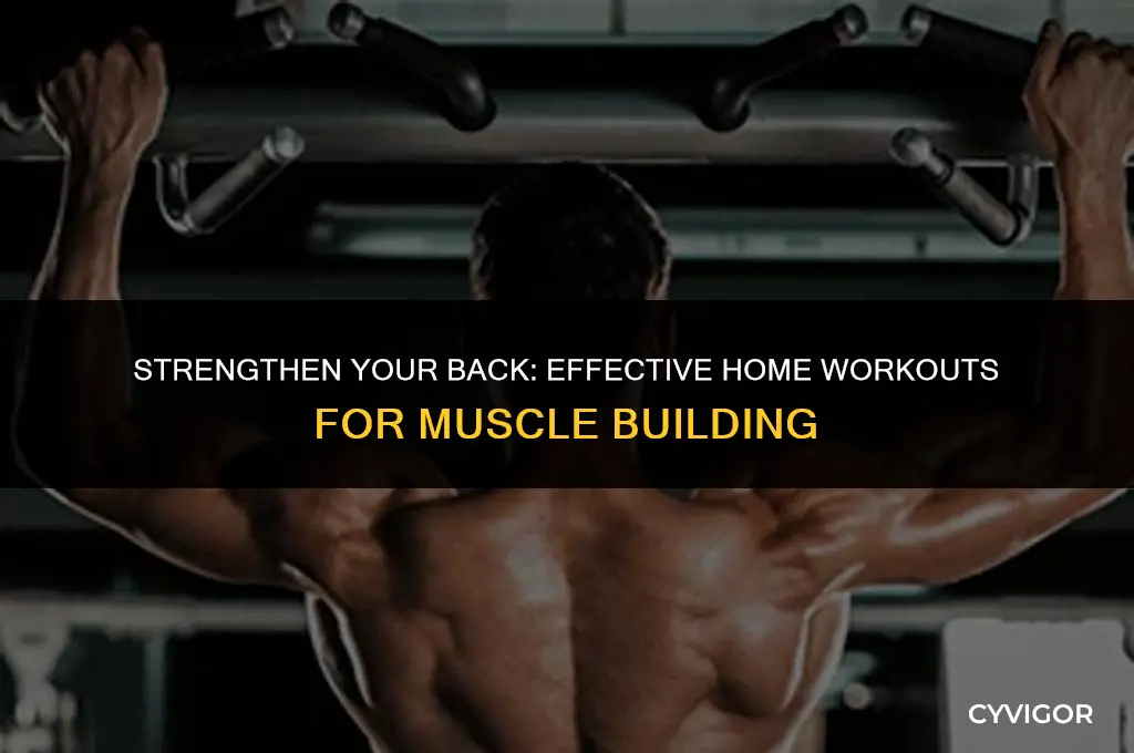 how to make back muscles at home