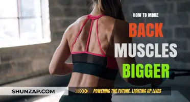 Strengthening Your Back: A Guide to Building Bigger Muscles