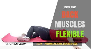 Unlocking Flexibility: A Guide to Loosening Your Back Muscles