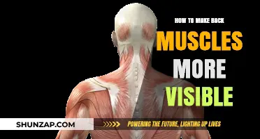 Sculpt Your Back: Tips for Toned, Visible Muscles