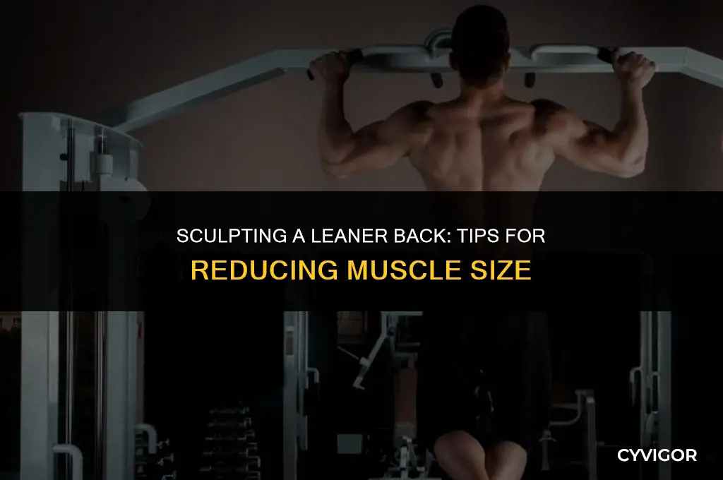 how to make back muscles smaller