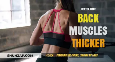 Building a Stronger Back: Tips for Developing Thicker Muscles