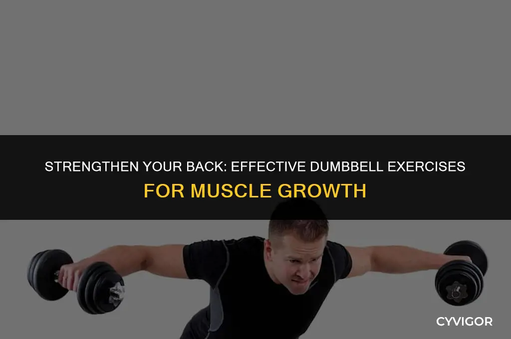 how to make back muscles with dumbbells