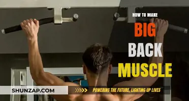 Building a Mighty Back: The Ultimate Guide to Growing Your Latissimus Dorsi