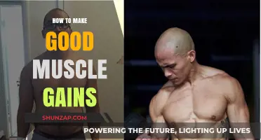 Effective Strategies for Building Muscle Mass and Strength Fast