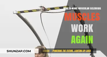 Reviving Muscular Sclerosis Muscles: Effective Strategies for Restoring Function