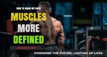 Sculpt Your Back: A Guide to Defined Muscles