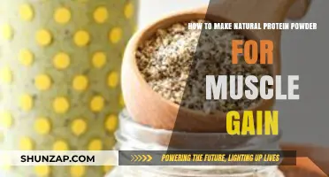 DIY Natural Protein Powder Recipes for Effective Muscle Gain at Home