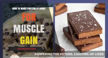 Easy Homemade Protein Recipes for Muscle Growth and Recovery