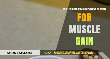 DIY Protein Powder Recipe for Muscle Gain at Home