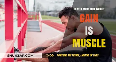 Maximize Muscle Growth: Strategies for Healthy Weight Gain