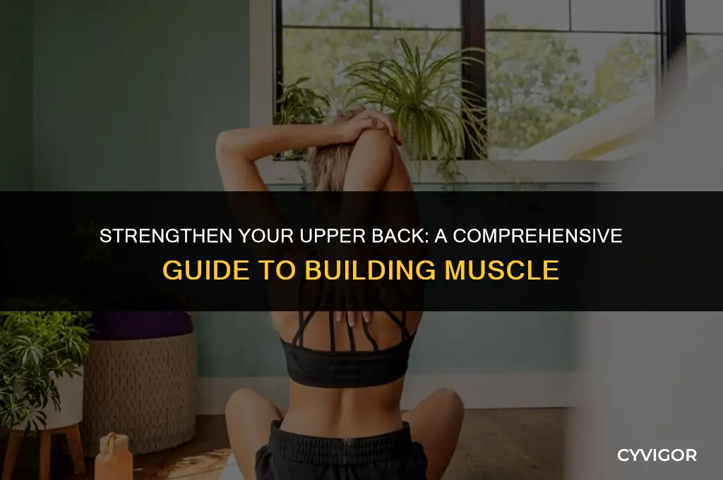 how to make upper back muscles strong