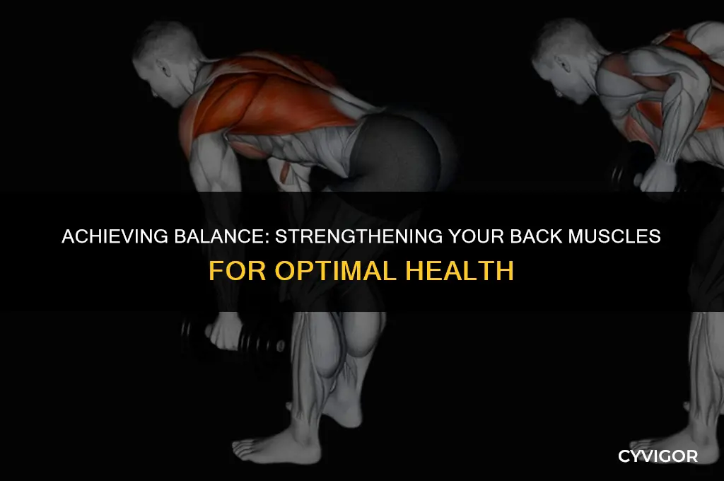how to make ur back muscle more balance