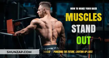 Sculpt Your Back: Tips for Defined Muscles