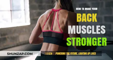 Strengthen Your Back: Effective Exercises and Tips for a Stronger You