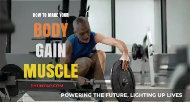 Effective Strategies for Building Muscle Mass and Strength Naturally
