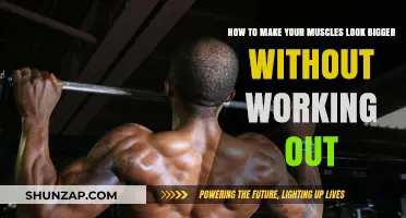 Instant Muscle Definition: Tricks to Enhance Size Without Exercise