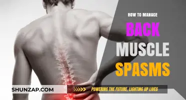 Effective Strategies to Manage and Prevent Back Muscle Spasms