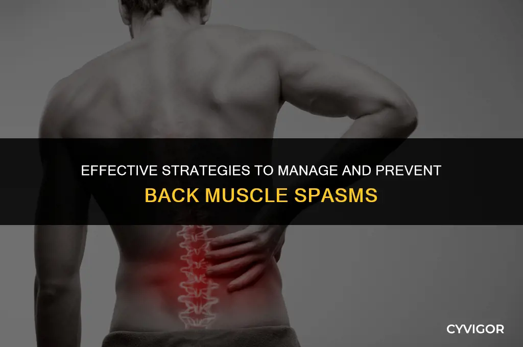 how to manage back muscle spasms
