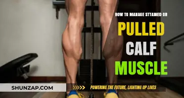 Effective Strategies for Healing and Preventing Calf Muscle Strains and Pulls