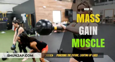 Effective Strategies for Rapid Muscle Mass Gain and Strength Building