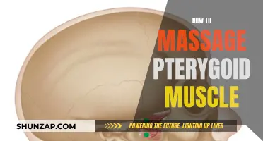 Massaging Pterygoid Muscles: Techniques for Instant Relief