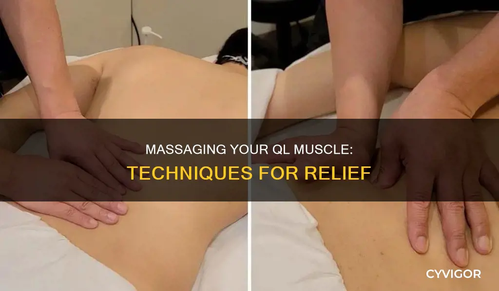how to massage ql muscle