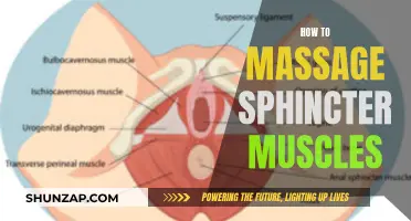 Massaging Sphincter Muscles: Techniques for Self-Care and Wellbeing