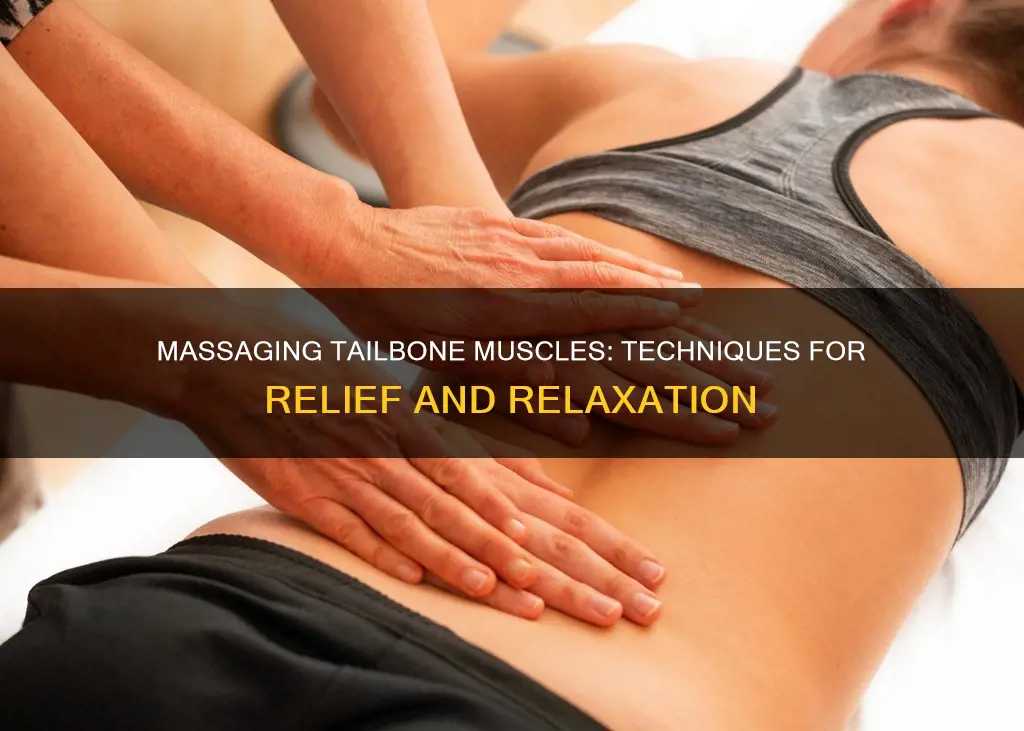 how to massage tailbone muscles