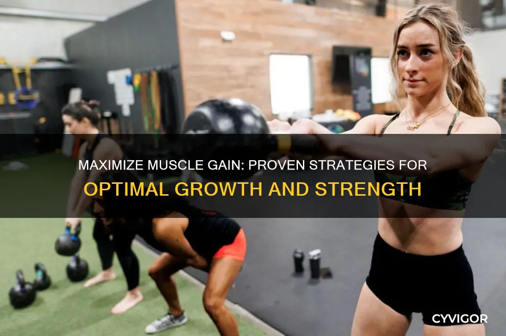 how to maximise muscle gain