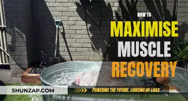 Maximizing Muscle Recovery: Strategies for Optimal Results