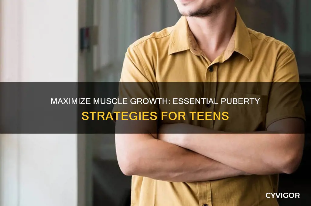 how to maximize muscle gain during puberty