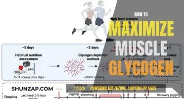 Maximizing Muscle Glycogen: Strategies for Optimal Performance and Recovery