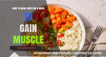 Meal Prep for Muscle Gain: Weekly Plan & Tips
