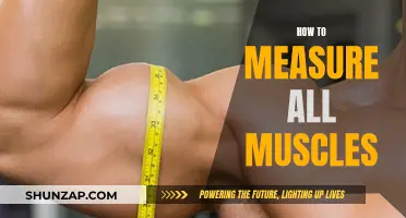 Measuring Muscle: A Comprehensive Guide to Tracking Progress