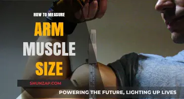 Accurate Arm Muscle Measurement: Techniques for Tracking Your Gains