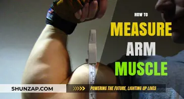 Effective Techniques to Accurately Measure Arm Muscle Growth and Strength