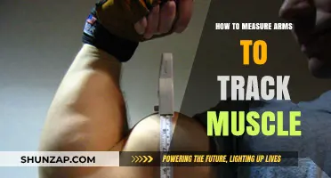 Accurate Arm Measurement Techniques for Tracking Muscle Growth Progress
