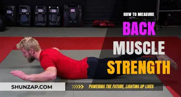 Assessing Your Back Muscle Strength: A Comprehensive Guide
